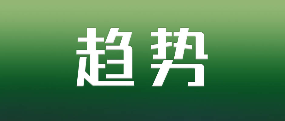 深入實施數(shù)字化轉(zhuǎn)型，推動輕工業(yè)高質(zhì)量發(fā)展